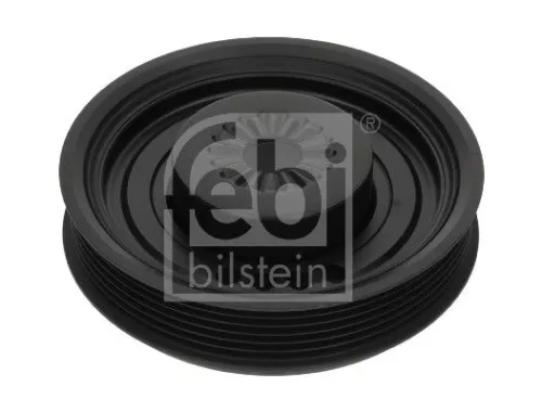 Riempoelie, krukas FEBI BILSTEIN 184551)