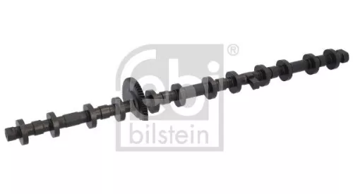 Excentrische as, nokkenasafstelling FEBI BILSTEIN 184958)