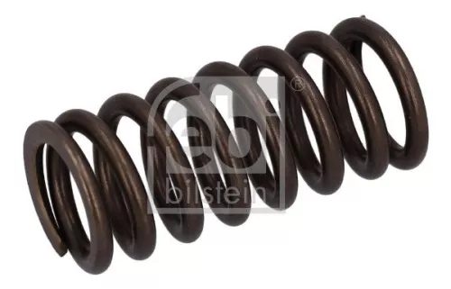 Valve Spring  187748)