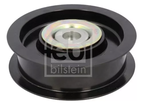 Ombuigings-/geleidingspoelie, V-geribbelde riem FEBI BILSTEIN 193668)