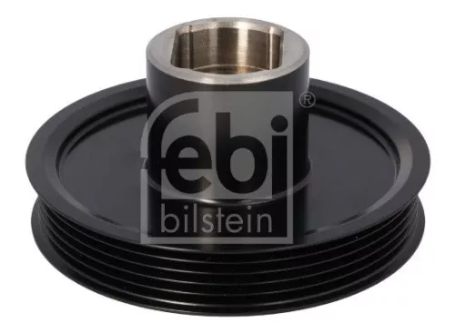 Riempoelie, krukas FEBI BILSTEIN 193956)