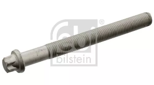 Cilinderkopbout FEBI BILSTEIN 19419)