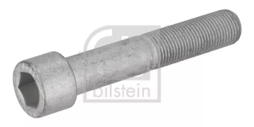 Bout, remschijf FEBI BILSTEIN 195479)