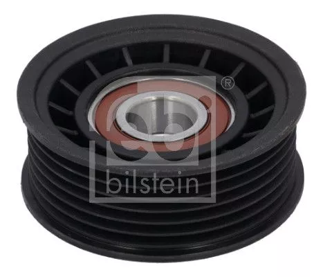 Ombuigings-/geleidingspoelie, V-geribbelde riem FEBI BILSTEIN 197829)
