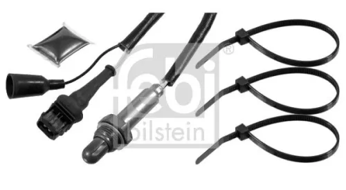 Oxygen Sensor  21434)