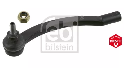 Spoorstangeind  21495)