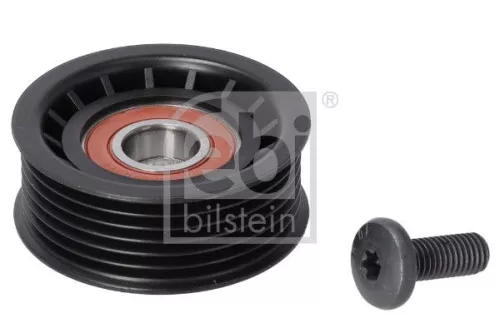 Ombuigings-/geleidingspoelie, V-geribbelde riem  24409)