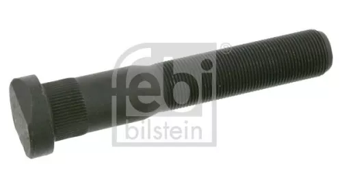 Wielbout  24779)