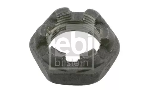 Kasteelnoot FEBI BILSTEIN 26827)