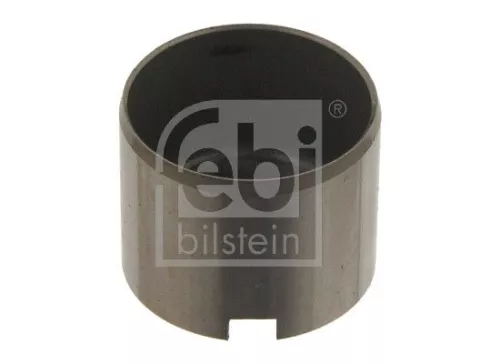 Stoter  30012)