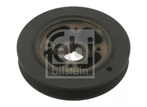 Riempoelie, krukas FEBI BILSTEIN 30139)