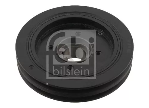 Riempoelie, krukas FEBI BILSTEIN 30408)