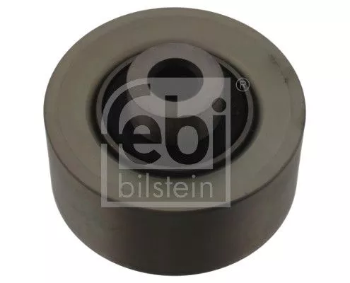 Ombuigings-/geleidingspoelie, V-geribbelde riem FEBI BILSTEIN 30873)