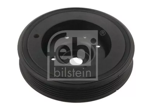 Riempoelie, krukas FEBI BILSTEIN 32195)