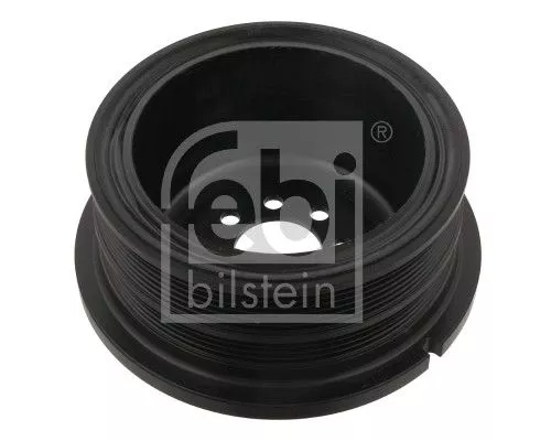 Riempoelie, krukas FEBI BILSTEIN 32220)