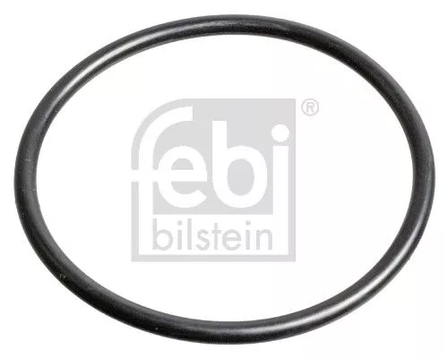 Afdichtring, fusee  32434)