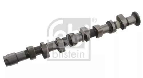 Camshaft  32863)