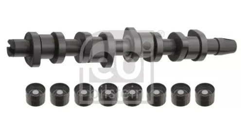 Camshaft Kit FEBI BILSTEIN 33195)