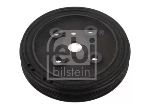 Riempoelie, krukas FEBI BILSTEIN 33640)