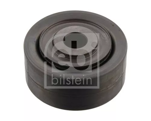 Ombuigings-/geleidingspoelie, V-geribbelde riem FEBI BILSTEIN 33717)