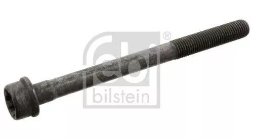 Cilinderkopbout FEBI BILSTEIN 34696)