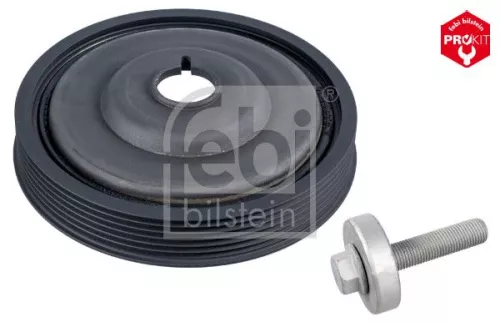 Riempoelie, krukas FEBI BILSTEIN 36155)