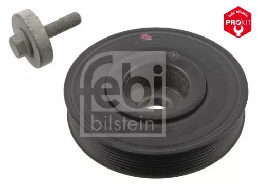 Riempoelie, krukas FEBI BILSTEIN 36247)