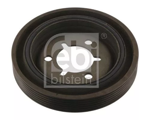 Riempoelie, krukas FEBI BILSTEIN 36287)