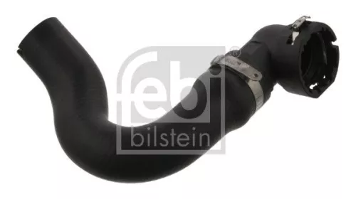 Radiatorslang FEBI BILSTEIN 37125)