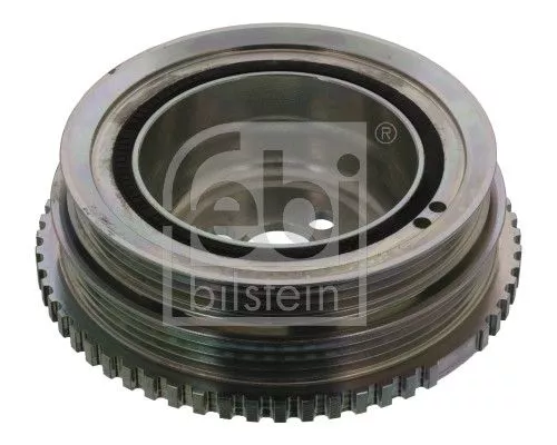 Riempoelie, krukas FEBI BILSTEIN 44412)