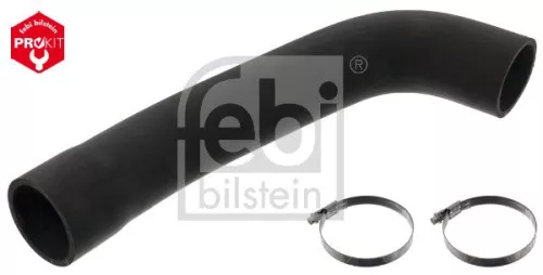 Radiatorslang FEBI BILSTEIN 49163)