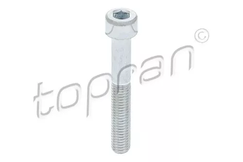 Bolt, brake caliper TOPRAN 110 707)