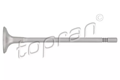 Exhaust Valve TOPRAN 207 300)