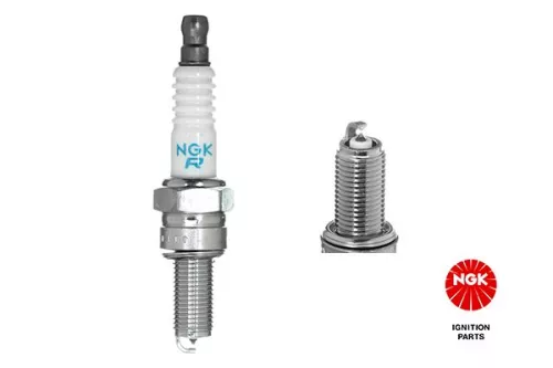 Spark Plug NGK 4259)