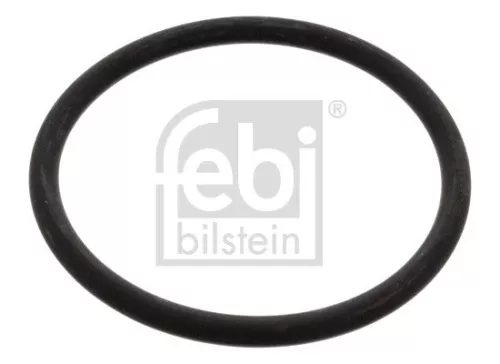 Seal, thermostat FEBI BILSTEIN 17966)