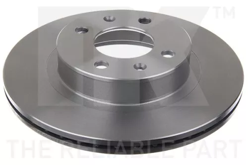 Remschijf BorgWarner 203529)