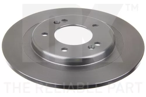 Remschijf BorgWarner 203541)