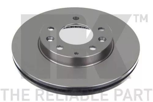 Remschijf BorgWarner 203241)