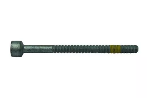 Schroef, houder voor injectiemondstuk TRUCKTEC AUTOMOTIVE 02.13.101)