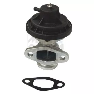 EGR-klep MEAT & DORIA 88175)