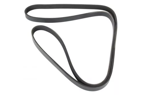 V-ribbed Belt  251750)