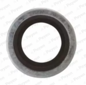 Seal Ring, oil drain plug PAYEN KG5012)