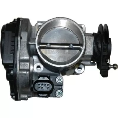 Throttle Body MEAT & DORIA 89020)