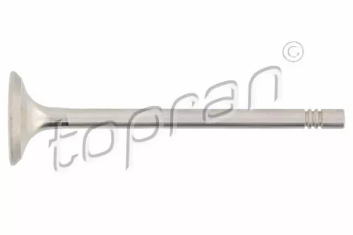 Exhaust Valve  110 211)