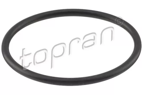 Seal, thermostat TOPRAN 113 298)