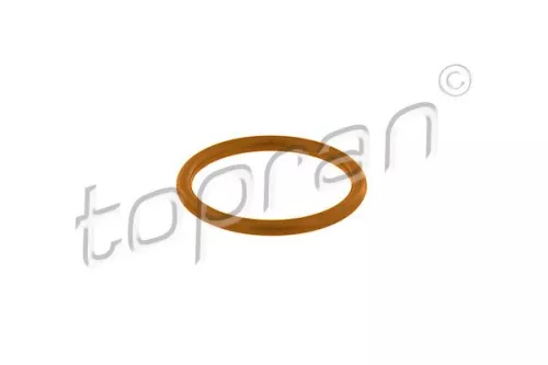 Gasket, coolant pipe TOPRAN 116 687)