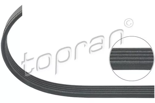 V-vormige riem TOPRAN 205 742)