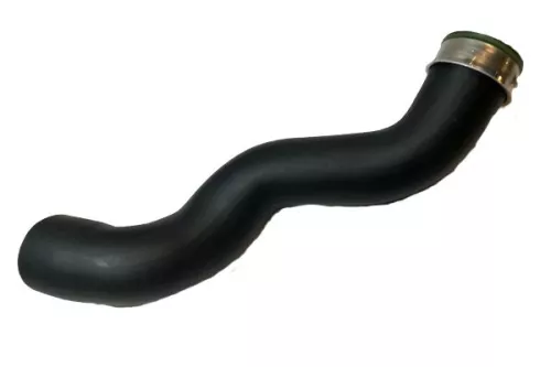 Laadluchtslang BUGIAD 86603)