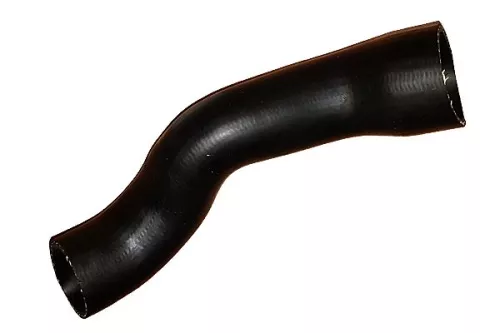 Laadluchtslang BUGIAD 88834)