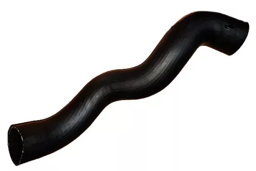 Laadluchtslang BUGIAD 88837)